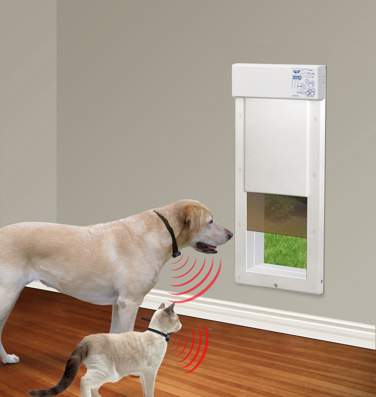 Electronic and Flap Wall Mount Dog Doors