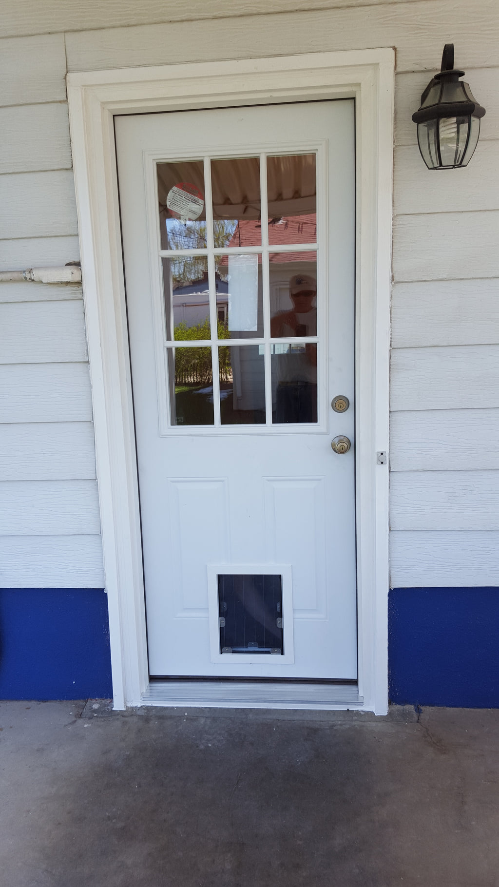 White front door with a pet door on a house with blue baseboard.