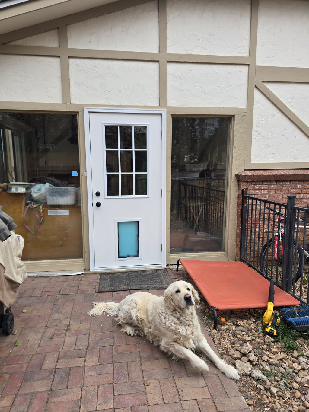 Sweet dog happy about his new dog door.