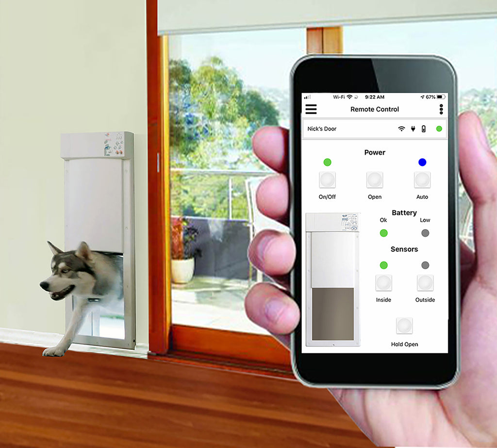 Smart pet door with a phone app for remote control, dog using the door.