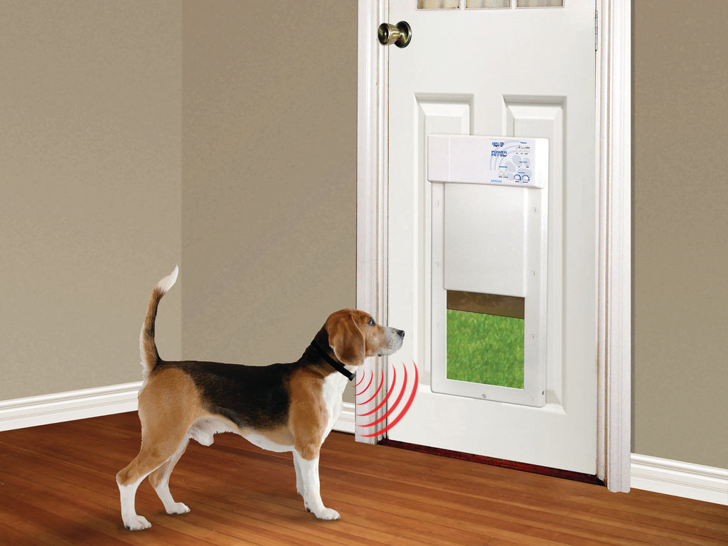 Dog approaching a pet door with a collar-controlled dog door.