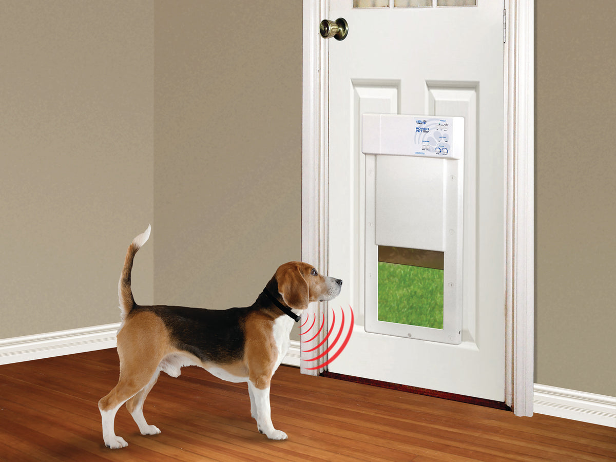 Dog approaching a pet door with a collar-controlled dog door.