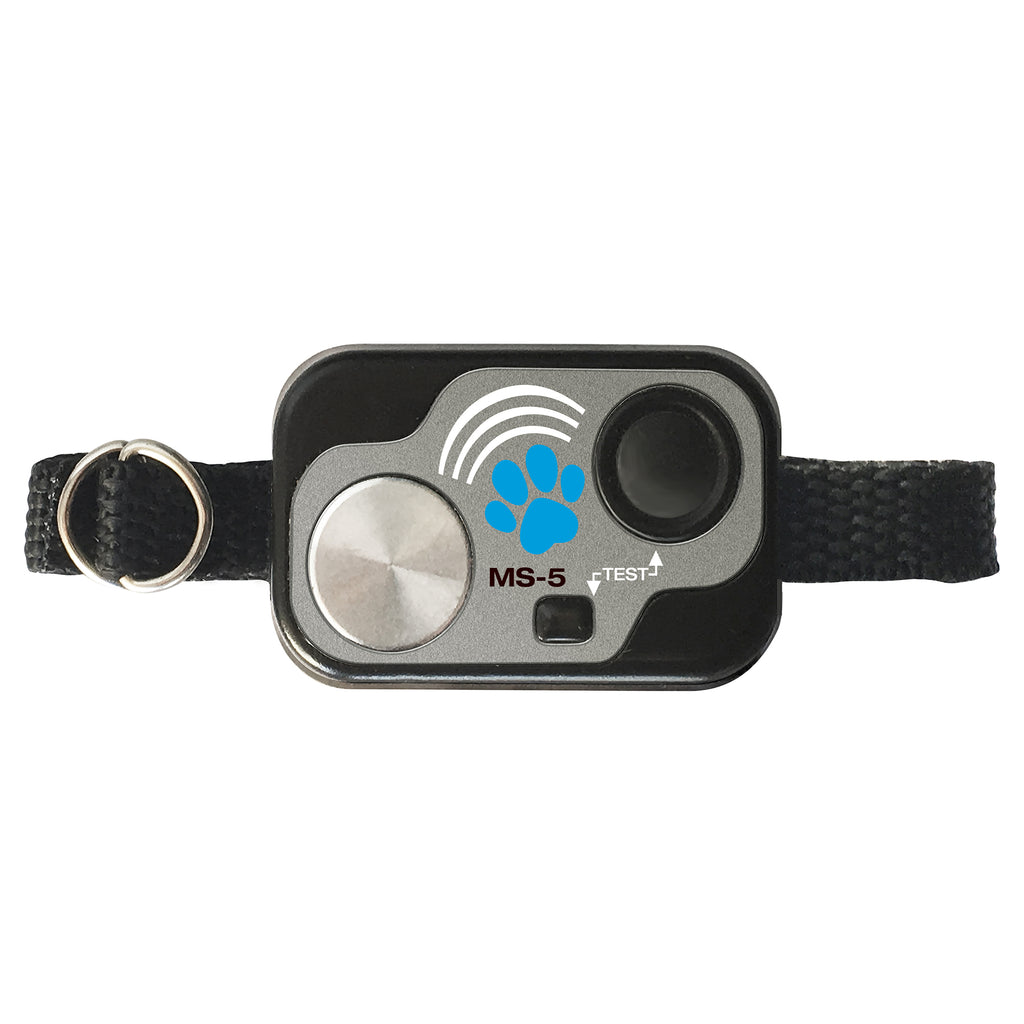 Dog collar with electronic device on a white background