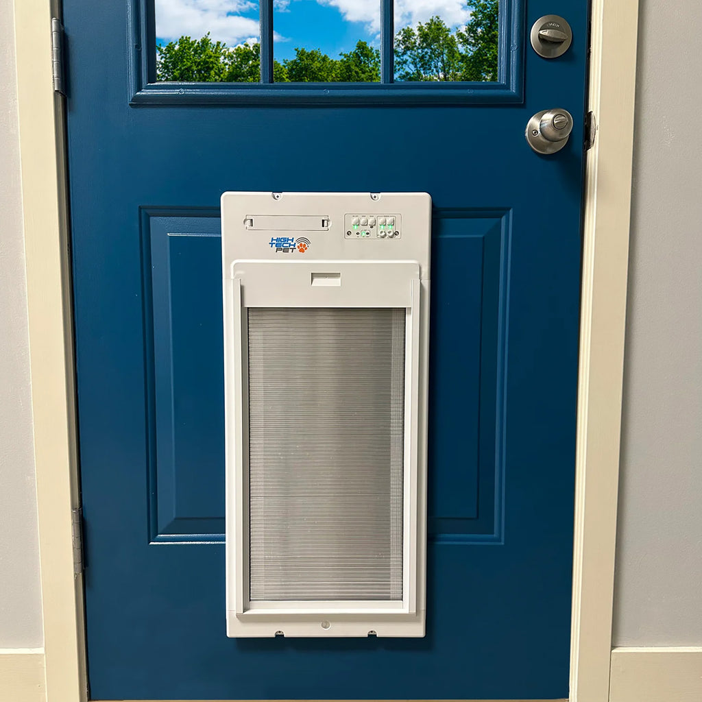 Dog door on a blue door with a view of trees outside