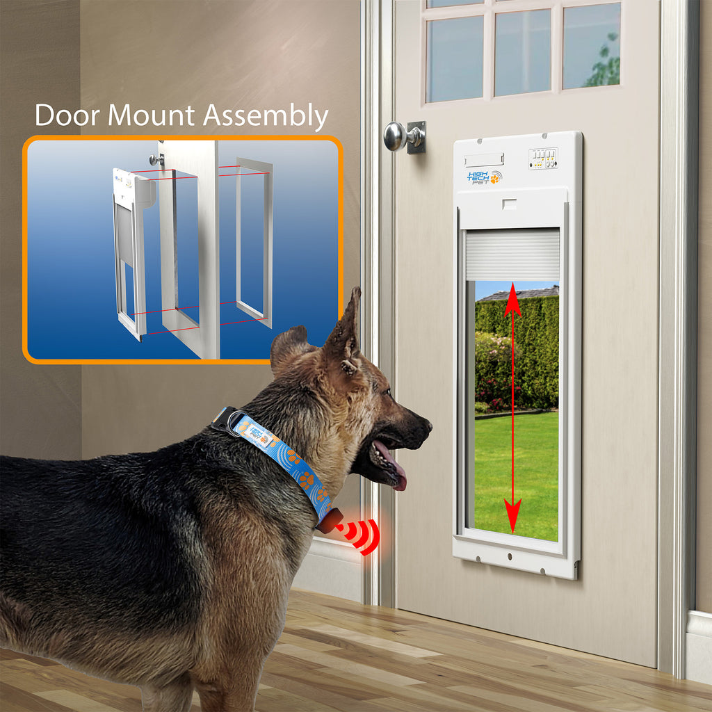 Dog using a pet door with a close-up of the door mount assembly on a beige door.
