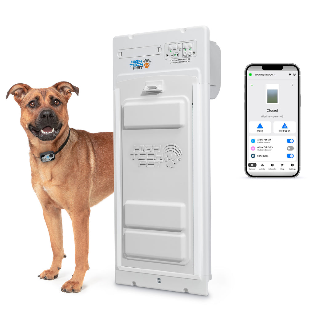 Dog next to a pet door with a smartphone displaying an app interface on a white background